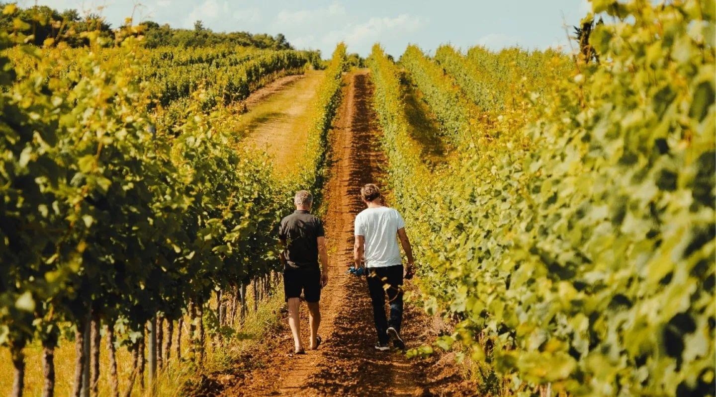 Weingut Michael Zehe